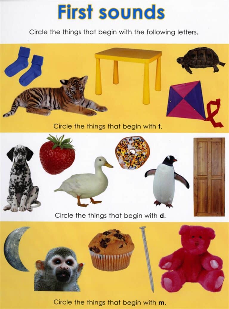 Sorting game with images to circle: tiger, table for "t"; dalmatian, door for "d"; moon, monkey for "m".