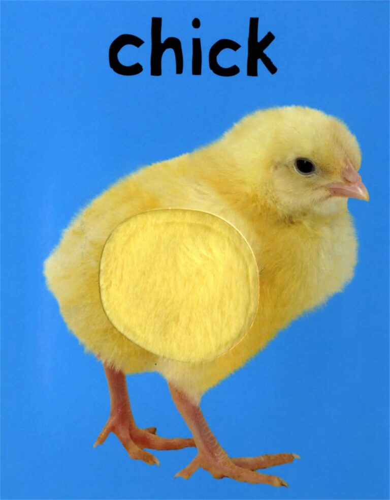 A yellow chick against a blue background with "chick" written above.