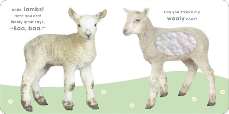 Two lambs on a grassy field with text: "Hello, lambs! Baa, baa." and "Can you stroke my wooly coat?.