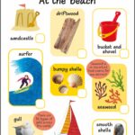 Children's beach-themed illustration with sandcastle, driftwood, bucket, shovel, surfer, shells, seaweed, gull, sailboat.