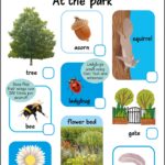 Illustrated park scene with tree, acorn, squirrel, bee, ladybug, flower, flower bed, gate, and feather.