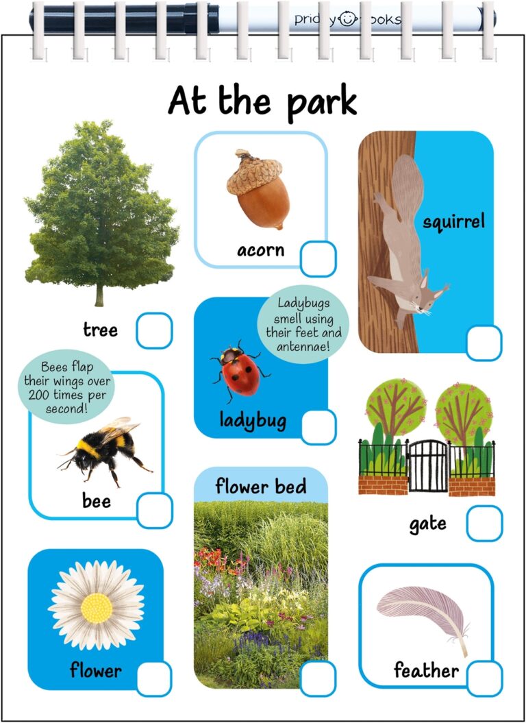 Illustrated park scene with tree, acorn, squirrel, bee, ladybug, flower, flower bed, gate, and feather.