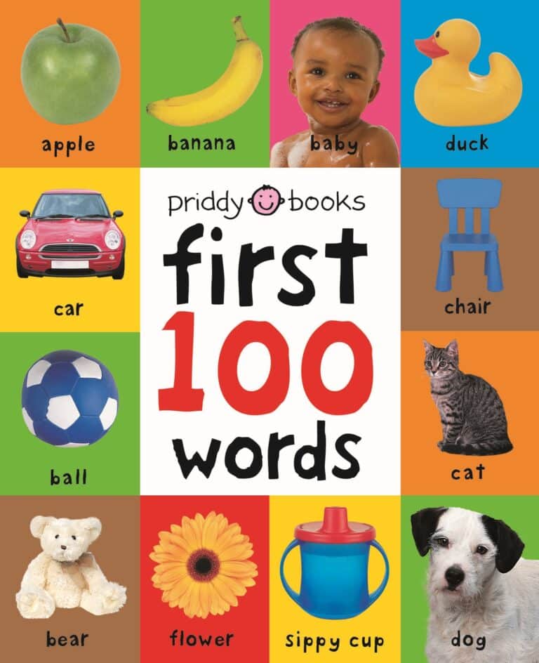A colorful educational poster from "priddy books" titled "first 100 words" featuring images and names of everyday items and animals, such as a green apple, banana, baby, duck, car, chair, ball, cat, bear, flower, sippy cup, and dog in a grid layout.