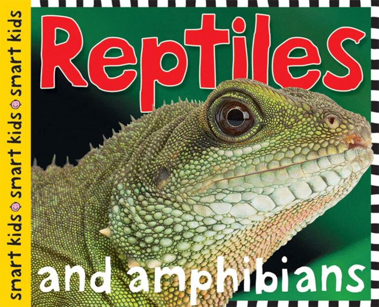smart-kids-reptiles-and-amphibians_553139.jpg