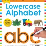 Book cover titled "lowercase alphabet" for ages 3-6, featuring images of a leaf, toy tractor, elephant, and a hand writing the letters "abc" with a marker. includes a warning label for choking hazard.