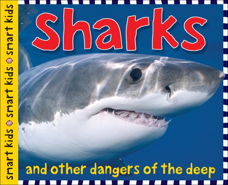smart-kids-sharks_1265772.jpg