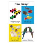 Four sections: toy cars, colorful fish, seashells, and two parrots on a perch with questions about quantity.