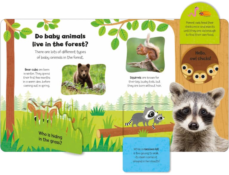 Children's book page with forest animals: bear cub, squirrel, deer, raccoon, and owl chicks. Text and illustrations present.