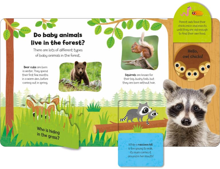 Children's book showing baby animals, including bear cub, squirrel, and raccoon, with interactive flaps and facts.