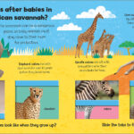 Illustration of African savannah animals with caretaking facts about elephants, giraffes, and lions.