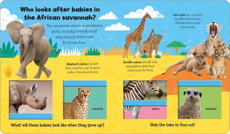 Illustration of African savannah animals with caretaking facts about elephants, giraffes, and lions.