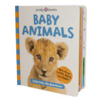 Board book titled "Baby Animals" with a lion cub on the cover and playful, colorful text and stripes.
