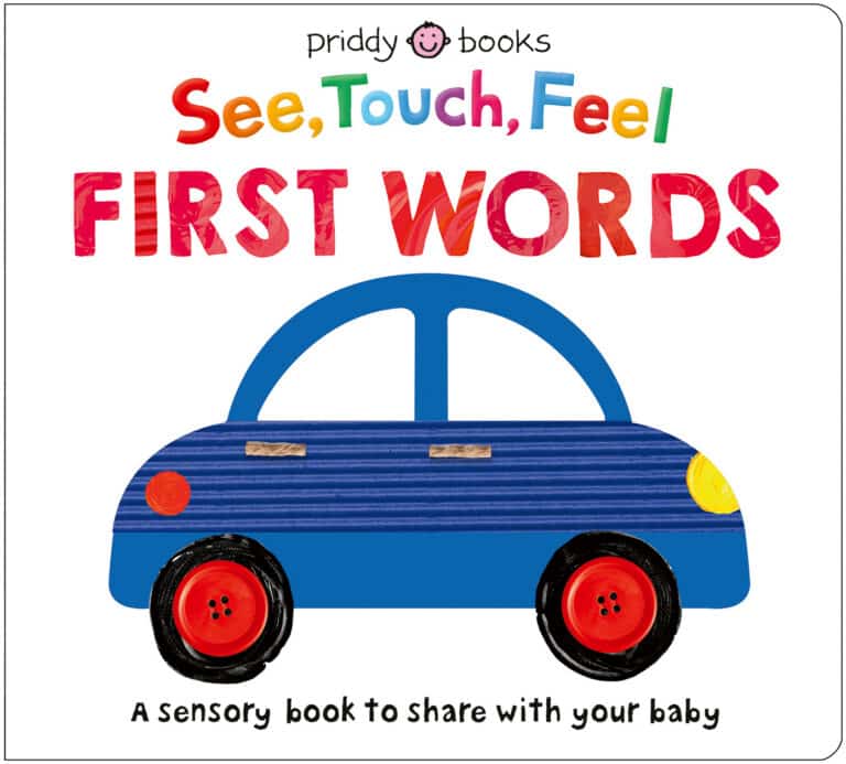 Colorful children's book cover with a blue car and text: "See, Touch, Feel FIRST WORDS. A sensory book for babies.