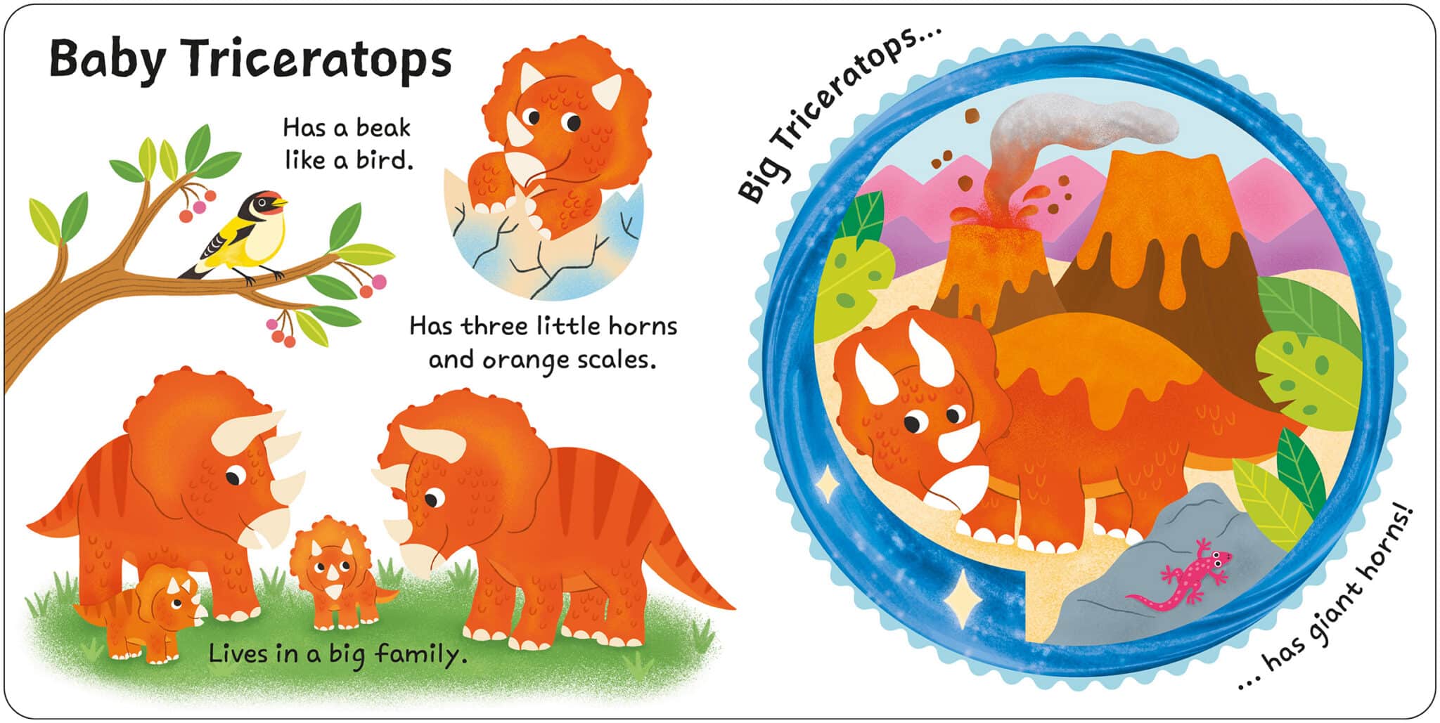DinoTransformers_Spread 2_LR Illustration of baby triceratops with family, cracked egg, and adult triceratops near volcanoes and a lizard.