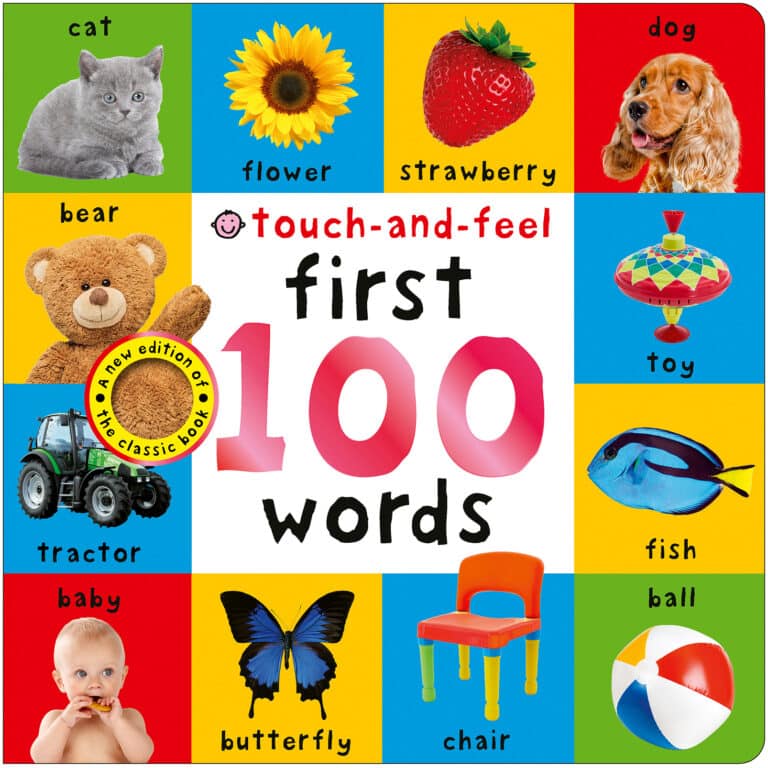 Colorful children’s book cover with photos of animals, objects, and the text “first 100 words” in the center.